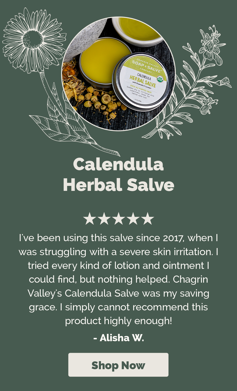 Shop 15% Off Calendula Herbal Salve